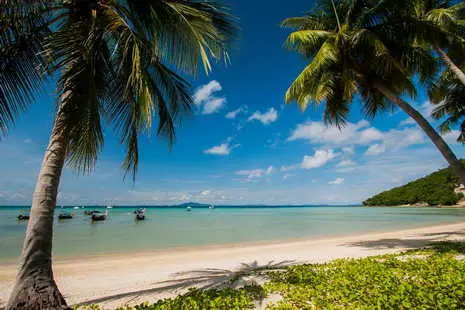 beautiful Loh Bakao beach in Phi Phi Don island
